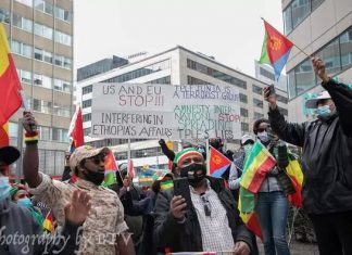 በካናዳ የሚኖሩ ኢትዮጵያውያን እና የኢትዮጵያ ወዳጆች ለኢትዮጵያ ያላቸውን ድጋፍ በሰላማዊ ሰልፍ ገለጹ።
