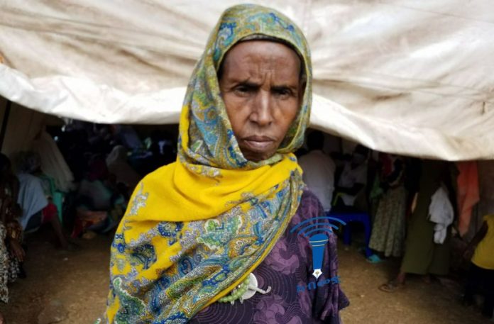 162040257_1500783000096689_1732538431442460070_o