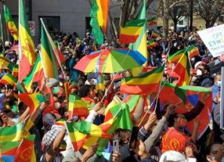 ምክትል ጠቅላይ ሚኒስትርና የውጭ ጉዳይ ሚኒስትር አቶ ደመቀ መኮንን የኢትዮጵያን ወቅታዊ ሁኔታ ለዓለም ለማሳወቅ በዋሽንግተን ዲሲ የሚኖሩ ኢትዮጵያውያን ላካሄዱት ሰልፍ ምስጋናቸውን አቀረቡ፡፡