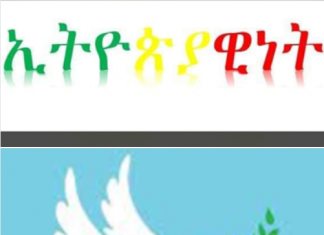 “የብሔር፣ የቋንቋ እና የሃይማኖት ልዩነት ከኢትዮጵያ ታሪክ ጋር የተሳሰረ የሕዝብ ጌጥ እንጂ የ30 ዓመት ታሪክ ያለው የጸብ ምንጭ አይደለም”