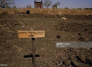 በማይካድራ ከ1 ሺህ 300 በላይ አማራዎች ህወሃት ባደራጃቸው ቡድኖች መገደላቸውን ጌቲ ኢሜጅስ ዘገበ።