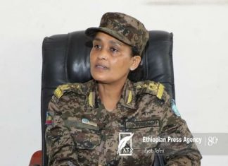 ሜጀር ጄነራል ጥሩዬ አሰፌ መከላከያ ካፈራቸው ጀግኖች መካከል ይመደባሉ። በአሁኑ ወቅት በኢትዮጵያ ሦስተኛዋና ብቸኛዋ ሴት ሜጀር ጀነራልም ናቸው፡፡