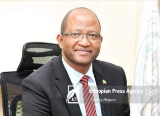 የሱዳን ጦር የኢትዮጵያን ድንበር አልፎ መግባቱ የሱዳን ሕዝብ ፍላጎት ሳይሆን የሌላ አካል አጀንዳ መሆኑን የሕዝብ ተወካዮች ምክር ቤት አፈጉባኤ አቶ ታገሰ ጫፎ ገለጹ።
