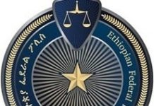 አንዳንድ የውጭ ሀገር ዜጎች “ኢንቨስተር ነን” በሚል ከፍተኛ የማጭበርበር ወንጀል እንደሚፈፅሙ የፌደራል ፖሊስ ኮሚሽን አስታወቀ