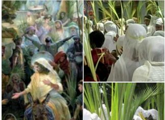 ʺሆሳዕና በአርያም መድኃኒት በሰማይ”