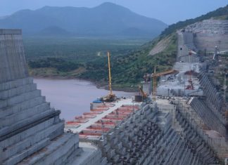 “ሁልጊዜም ቢሆን መተባበርና መደራጀት ድል የሚያቀዳጅ ሀዲድ ነው” ዶክተር አረጋዊ በርሄ
