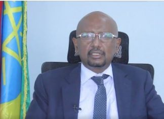 ለታላቁ የሕዳሴ ግድብ እስካሁን 1 ነጥብ 4 ቢሊዮን ብር መሰብስብ መቻሉን ዶክተር ሲለሺ በቀለ ተናገሩ፡፡