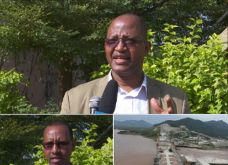 የሕዳሴ ግድብ ፕሮጀክት ዕውን እንዳይሆን የሚሹ ኀይሎች አካባቢውን የትርምስ ቀጣና ለማድረግ እየሠሩ ነው፡፡