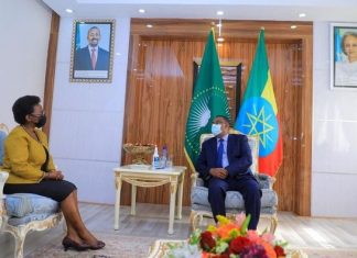 “ለአፍሪካ ችግሮች አፍሪካዊ መፍትሔ ማግኘት እንደሚገባ ኢትዮጵያ ታምናለች” ምክትል ጠቅላይ ሚኒስትርና የውጭ ጉዳይ ሚኒስትር ደመቀ መኮንን