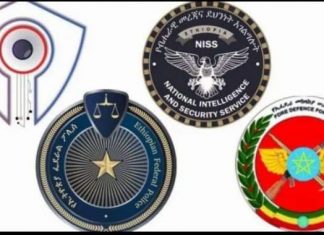 በአዲስ አበባና በአንዳንድ የኦሮሚያ ከተሞች የተቀናጀ የሽብር ጥቃት ለመፈፀም አቅደው ሲንቀሳቀሱ የነበሩ የሽብር ቡድን አባላት በቁጥጥር ስር መዋላቸውን የደኅንነትና ጸጥታ የጋራ ግብረ ኃይል አስታወቀ።