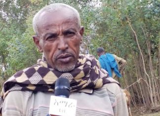 ዩኒቨርሲቲው በዋሸራ አውራ በጎች ዝርያ አርሶ አደሮችን ተጠቃሚ ለማድረግ እየሠራ ነው፡፡