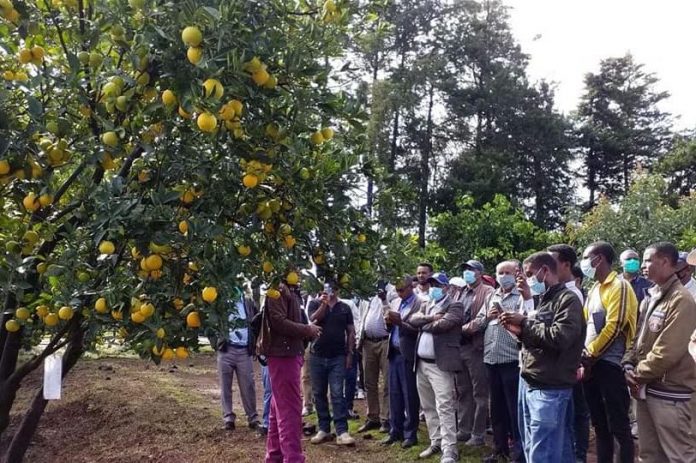 186503199_1543575172484138_5244926718229810069_n