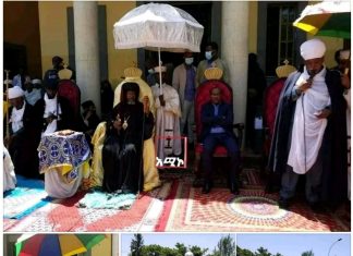 ʺብርጋዴር ጄኔራል ኃይሌ የነጻነት፣ የአንድነት፣ የጀግንነት ፊደል ስለሆኑ ፊደል ይነበባል እንጂ አይሞትም” ዶክተር ፈንታ ማንደፍሮ