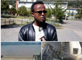 ኢትዮጵያ አስፈላጊውን ወታደራዊ ዝግጅት ማድረግና ሠርጎ ገቦችን መቆጣጠር የሚያስችል የደኅንነት መረብ መዘርጋት ይጠበቅባታል” ምሁራን