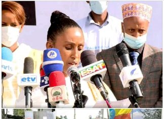 ኢትዮጵያዊያን “በውስጥ ጉዳዮቻችን ላይ የተዘረጉ የውጭ እጆች ይነሱ” ሲሉ ጠየቁ።