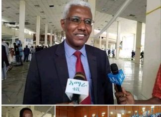ለኢንዱስትሪ ሽግግር ዩኒቨርሲቲዎች የንድፈ ሃሳብ ትምህርትን ከተግባር ጋር በማዋህድ መስጠት እንዳለባቸው የኢትዮጵያ ቴክስታይል እና ፋሽን ቴክኖሎጅ ኢንስቲትዩት ገለጸ፡፡