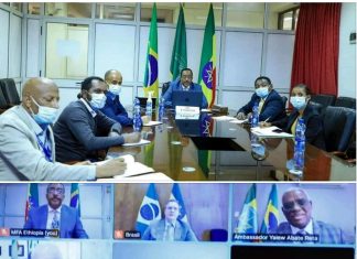 ኢትዮጵያና ብራዚል የቆየ የሁለትዮሽ ግንኙነታቸውን አጠናክረው እንደሚቀጥሉ አስታወቁ፡፡