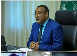 በሶስቱ ሀገሮች ብሔራዊ ገለልተኛ የሳይንቲስቶች ቡድን ባዘጋጀው የውኃ ሙሌት መርሃ ግብር መሰረት የግድቡ ሁለተኛው ዙር የውኃ ሙሌት እንደሚካሄድ ተገለጸ።
