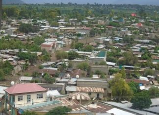 በኢንቨስትመንት ስም ታጥሮ የተቀመጠው ቦታ ከ58 ሚሊዮን ብር በላይ ኪሳራ አድርሷል፡፡