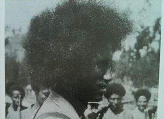 የአባ ኮስትር በላይ ዘለቀ የጦር ስልቶች