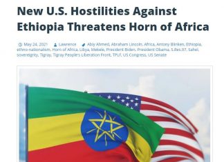 አሜሪካ በኢትዮጵያ ላይ የወሰደችው አቋም “ኃላፊነት ጎደለው እና አደገኛ” ነው ሲሉ የፖለቲካ ኢኮኖሚ ተንታኝ ላውረንስ ፍሪማን ገለጹ፡፡