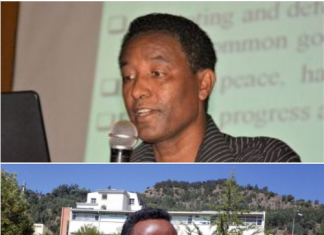 አሜሪካ በኢትዮጵያ ባለስልጣናት ላይ የጣለችው የጉዞ እገዳ በአፍሪካ ያላትን ጥቅም ሊያሳጣት እንደሚችል ተገለጸ፡፡