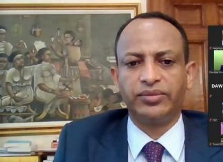 በኢትዮጵያ ላይ እየተሰነዘሩ ያሉ ያልተገቡ ጫናዎችን ለመመከት እንደሚሰሩ በተለያዩ የአሜሪካ ግዛቶች የሚኖሩ ኢትዮጵያውያንና ትውልደ ኢትዮጵያውያን ገለጹ።