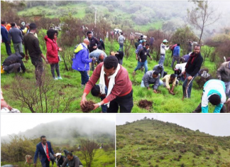 በመጭው ክረምት ወቅት በስሜን ተራራዎች ብሔራዊ ፓርክ ከ30 ሺህ በላይ ሀገር በቀል ችግኞች እንደሚተከሉ የፓርኩ ጽሕፈት ቤት አስታወቀ፡፡