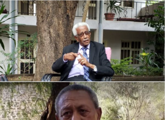 “አሜሪካ ከመታሰሷ አስቀድሞ ወልቃይት ጠገዴ ሰቲት ሑመራ ሕዝብ የሚኖርበት፣ መንግሥት ያለበት የሰሜን በጌምድር ጠቅላይ ግዛት ሆኖ የኢትዮጵያ ምድር መሆኑ ይታወቃል” ታሪክ አዋቂ