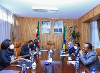 “ለአፍሪካዊ ችግሮች አፍሪካዊ መፍትሔ ማግኘት እንዳለበት ኬኒያ ታምናለች” የኬንያ የውጭ ጉዳይ ሚኒስትር አምባሳደር ሪይቸል ኦማሞ