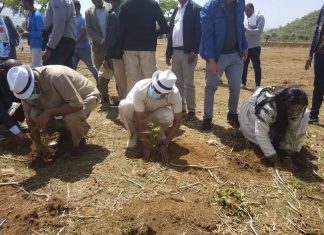 ጠቅላይ ሚኒስትር ዐቢይ አሕመድ በማዕከላዊ አርማጭሆ ማሰሮ ግንብ ችግኝ ተከሉ፡፡
