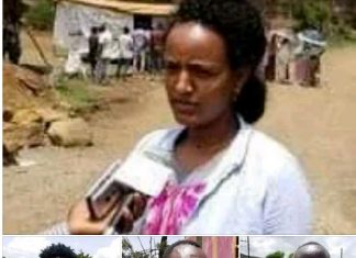 እንፍራንዝ ሰላሟን ታስጠብቃለች፡፡