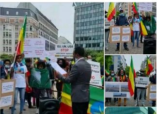 በቤልጂየም፣ሉግዘምበርግ እና ሆላንድ የሚኖሩ ኢትዮጵያውያን የውጭ ጫናን የሚቃወም ሰልፍ አካሄዱ።