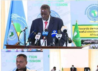 የምሥራቅ አፍሪካ ተጠባባቂ ኃይል የምርጫ ታዛቢ ቡድን ኢትዮጵያ ያካሄደችው ምርጫ የተረጋጋና ሰላማዊ ድባብ የተላበሰ መሆኑን እንደታዘበ ገለጸ።