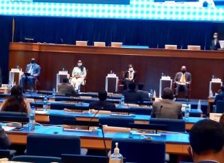 የአፍሪካውያን በጋራ መሥራት ለአህጉሩ ቀጣይ ልማትና እድገት ወሳኝ መሆኑን የትራንስፖርት ሚኒስትር ዳግማዊት ሞገስ ገለጹ።