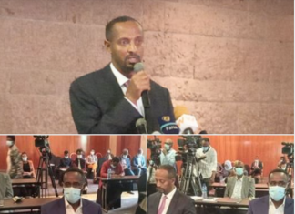 ኢትዮጵያ በኢኮኖሚ ማሻሻያዋ እያደረገች ያለችዉ አንዱ ለዉጥ የሀገር በቀል ምርቶችን በግብዓትነት መጠቀም እንደኾነ ተገለጸ፡፡