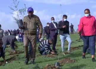“የአረንጓዴ ልማትን በማጠናከርና ችግኞችን በመትከል ግድቦች በደለል እንዳይሞሉ ማድረግ ይገባል” ዶክተር ኢንጂነር ስለሺ በቀለ