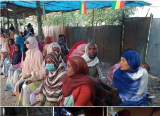በከሚሴ ከተማ መራጮች ድምጻቸውን እየሰጡ ነው፡፡