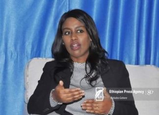 ባለፉት አስራ እንድ ወራት ከዲያስፓራው በድጋፍ መልክ አንድ ነጥብ አንድ ቢሊዮን ብር መገኘቱን የኢትዮጵያ ዲያስፓራ ኤጀንሲ አስታወቀ።