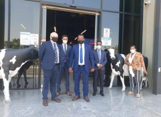 የኳታሩ ወተት እና የወተት ውጤቶች አምራች የሆነው ባላድና ኩባንያ በኢትዮጵያ በኢንቨስትመንት ለመሠማራት እንደሚፈልግ ገለጸ፡፡