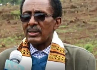በአረንጓዴ አሻራ መርሃ ግብሩ ኢትዮጵያ ለጎረቤት ሀገራት የምትሰጠው ችግኝ ቀጠናዊ ትብብርን የሚያጠናክር መሆኑን የአካባቢ የደንና የአየር ንብረት ለውጥ ኮሚሽን ገለጸ።