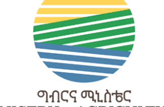 በ2013/ 14 መኸር ዘመን 375 ሚሊዮን ኩንታል ምርት ለመሰብሰብ እየተሠራ መሆኑን ግብርና ሚኒስቴር አስታወቀ።