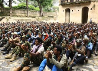 የጎንደር ከተማ ሚሊሻ አባላት የከተማዋን ሰላም ለማስጠበቅ እና ዘመቻ ለህልውና ለመሳተፍ ዝግጁ መሆናቸውን ገለጹ።