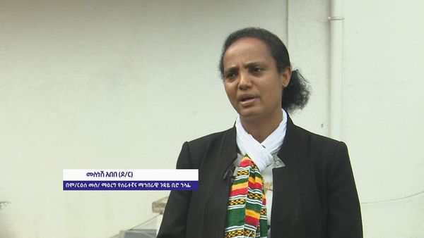 217454197_1589959914512330_6062717659504314065_n