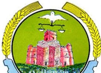 ብርጋዴር ጄኔራል ተፈራ ማሞ የአማራ ክልል ልዩ ኃይል አዛዥ ሆኑ።