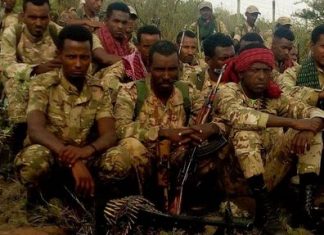 “ለአማራ ሕዝብ ስንል የምንከፍለው ማንኛውም ዓይነት መስዋዕትነት ለኛ ቢያንስ እንጂ አይበዛም” የአማራ ልዩ ኀይል 29ኛ ጣና ብርጌድ ሁለተኛ ሻለቃ አባላት