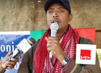 ሁሉም አማራ ወደ ግንባር እንዲሰለፍ ኮሎኔል ደመቀ ዘውዱ ጥሪ አቀረቡ።