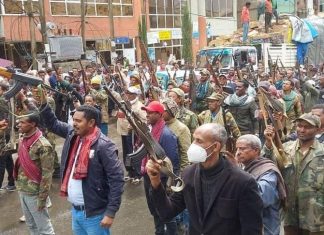 የደብረታቦር ጀግኖች የክተት አማራን ዘመቻ ተቀላቅለዋል።