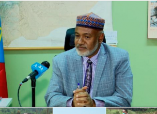 በዘንድሮው ክረምት በዓባይ ተፋሰስ አካባቢዎች ከ4 ነጥብ 5 ቢሊዮን በላይ የጥምር ደን ችግኝ የሚተከል መሆኑን ግብርና ሚኒስቴር ገለጸ።