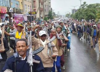 ʺአንበሳውን ነኩት እነ ልክ አያውቁ ፣ ምን እንደሚያመጣ ቀድመው ሳይጠይቁ”